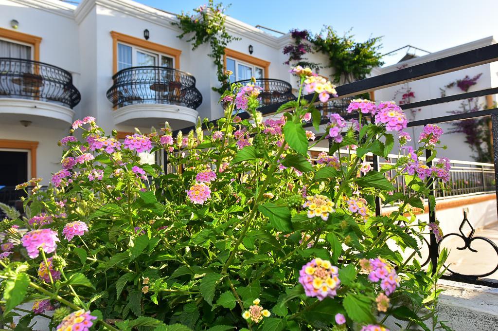 Tropicana Beach Hotel — 2