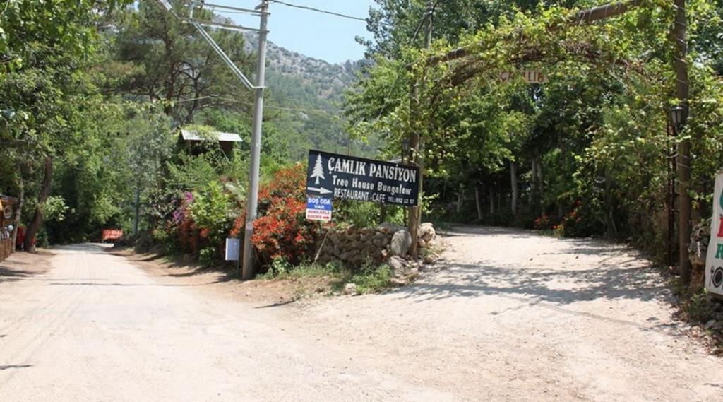 Olympos Çamlık Pansiyon +16 — 2