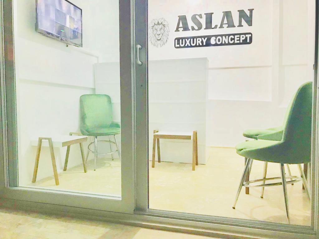 Aslan Luxury Concept — 5