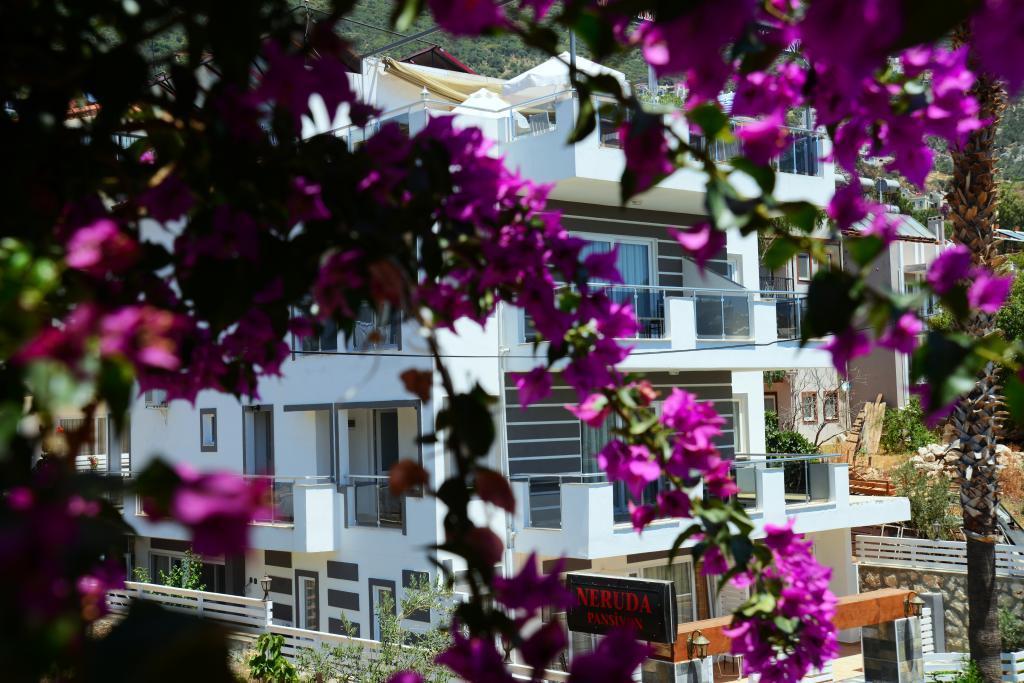 Neruda Hotel — 1