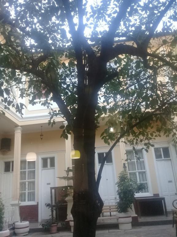 Otel Antikhan — 7