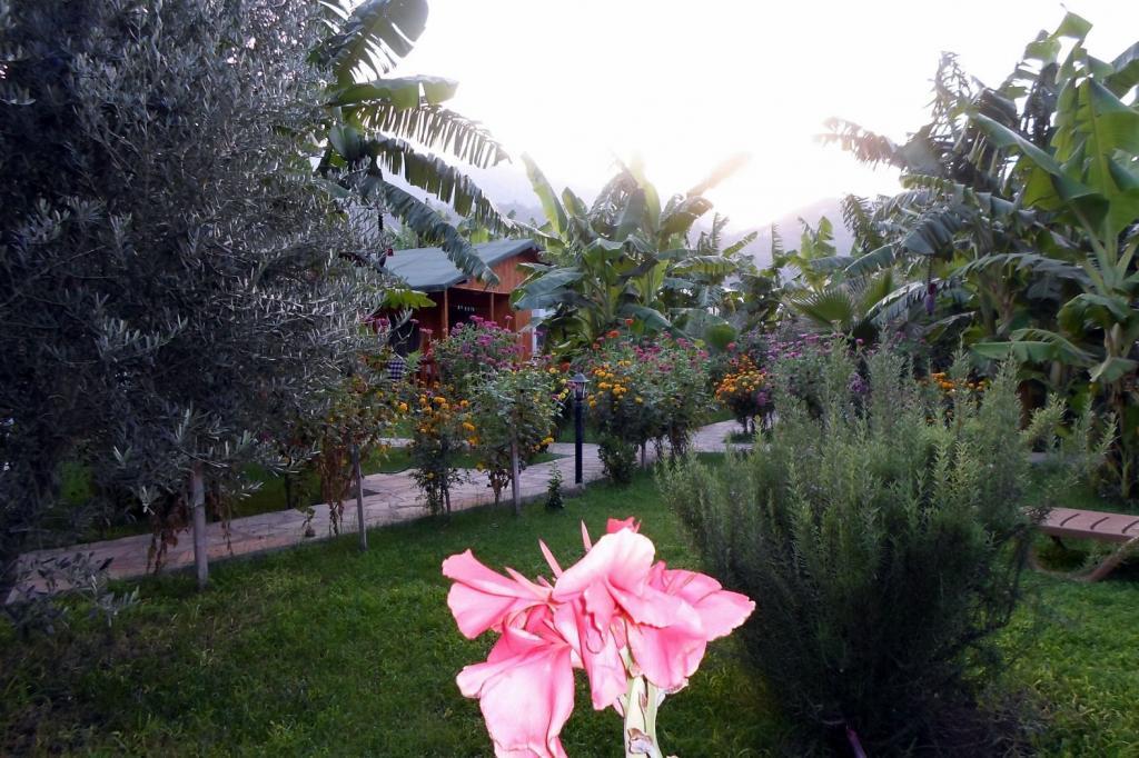 Estelar Bungalows — 7