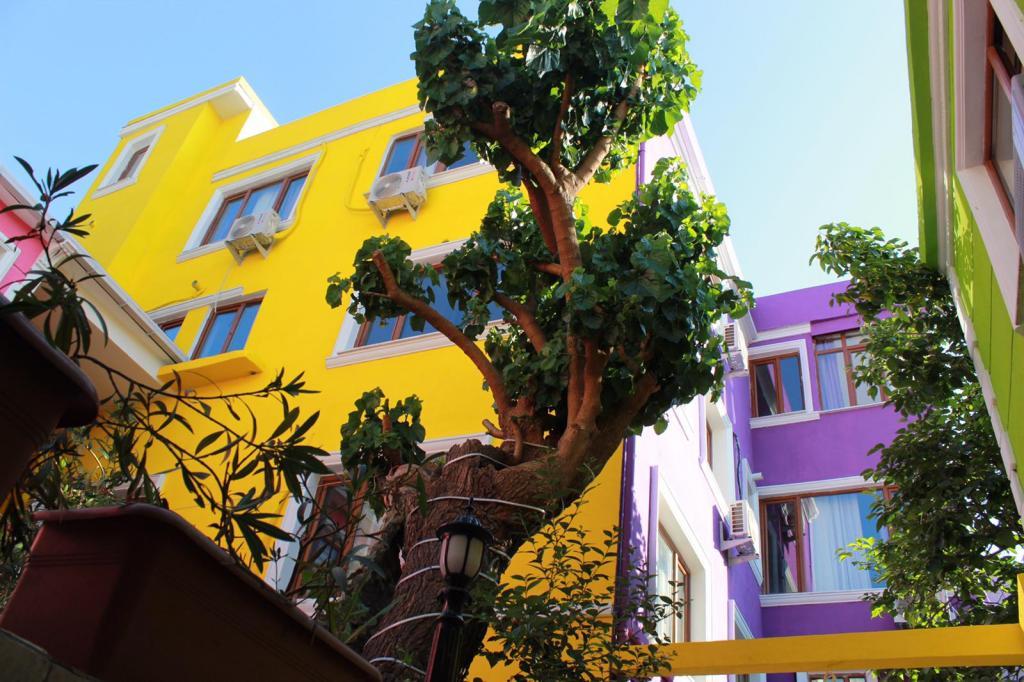 The Zanadu Hotel — 1