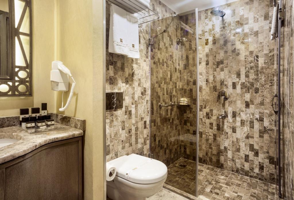 Cadence Design Hotel — 6