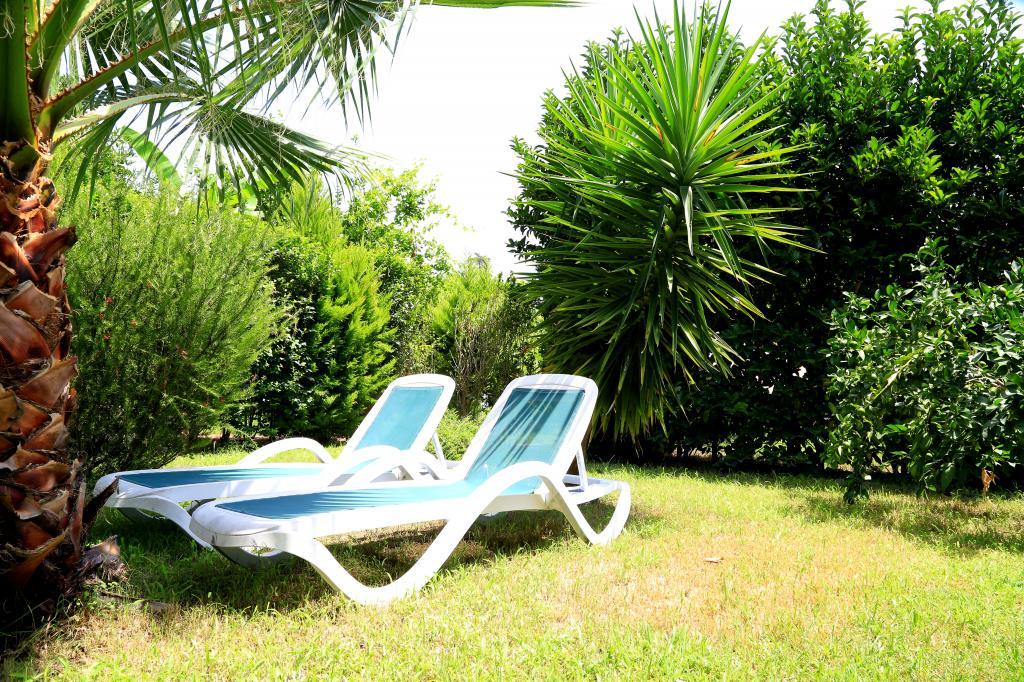 Villa Zeytin Çıralı — 9