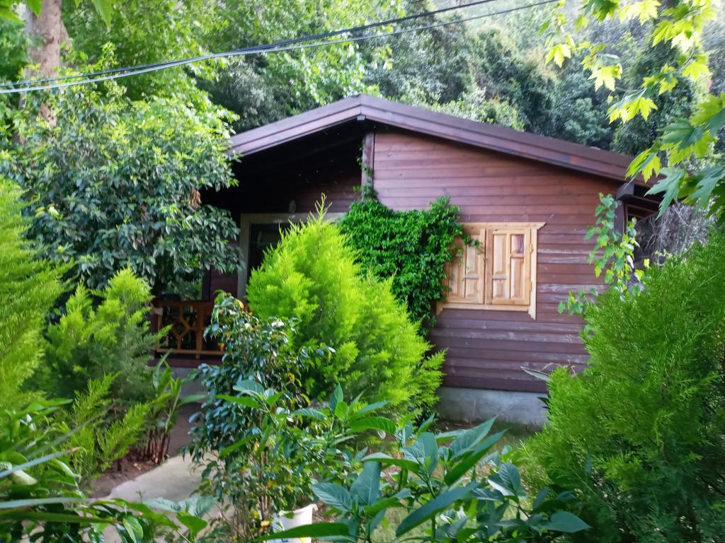 Maji Village — 3