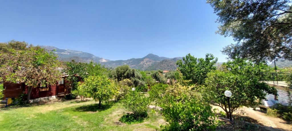 Bahar Bahçe Datça — 6