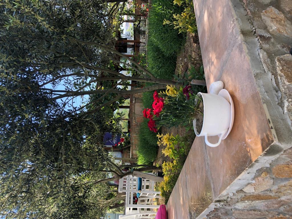 Flora Otel Bozcaada — 5
