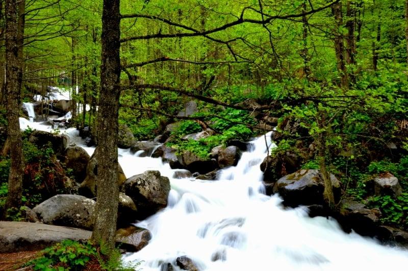 Kardelen Pansiyon — 5