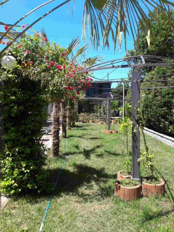 Green House Garden Park Hotel — 9