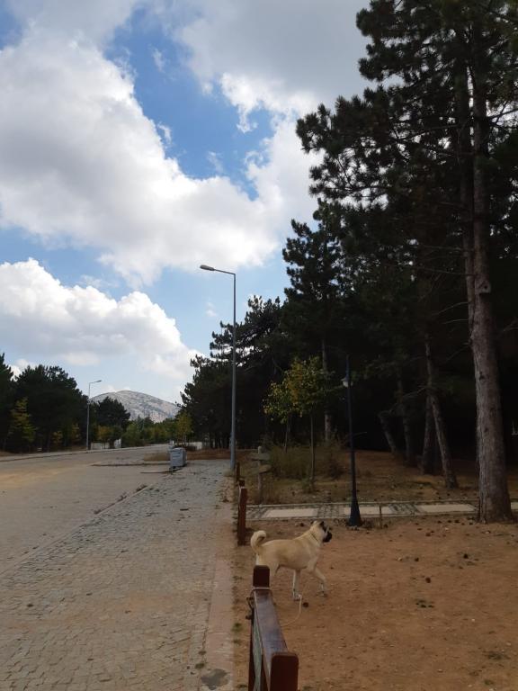 Spil Dağı Milli Parkı Köşk Evleri — 7