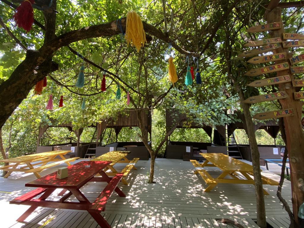 Olympos Çamlık Pansiyon +16 — 3