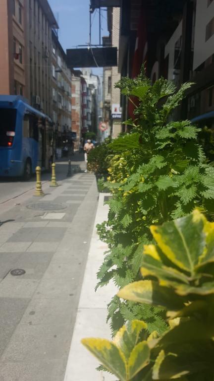 Ayyıldızlar Pansiyon — 8