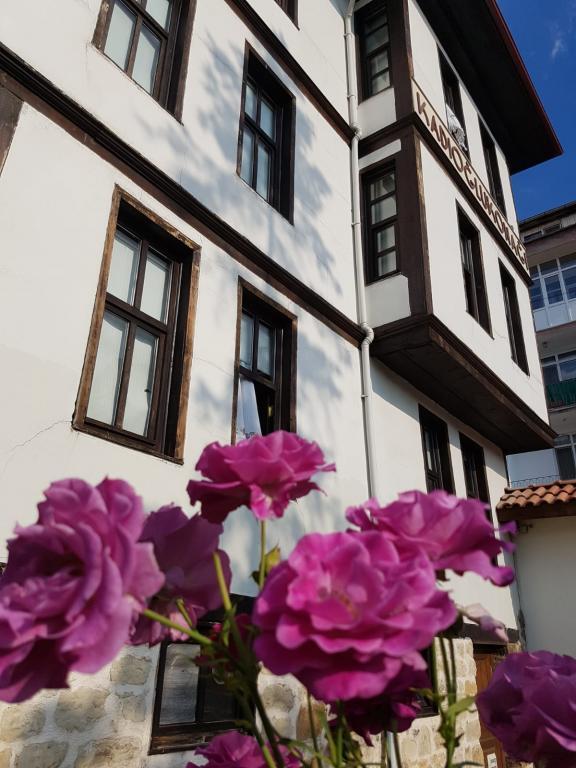 Kastamonu Kadıoğlu Konak — 5