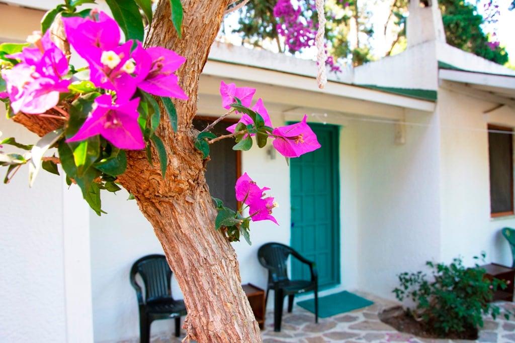 Myndos Bed & Breakfast Gümüşlük — 6