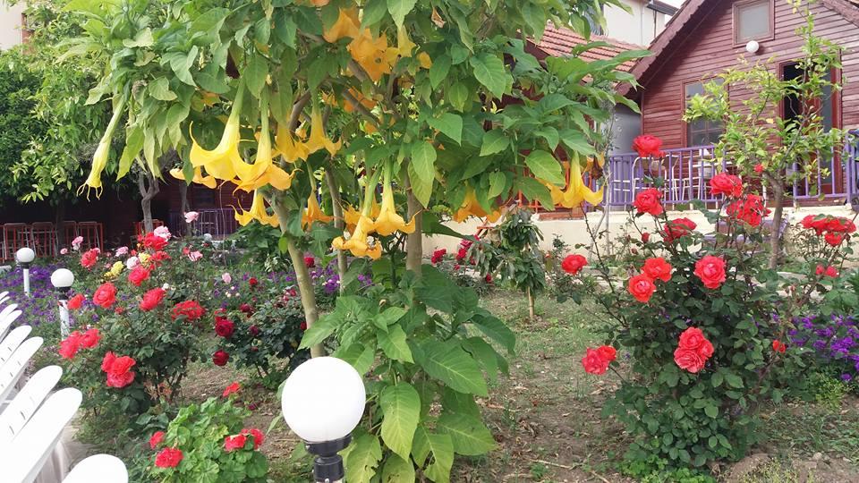 Bykara Bungalows Motel — 10