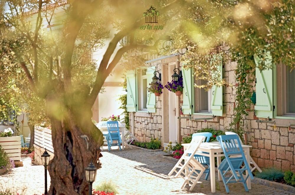 Zeytin Arası Taş Evler — 4