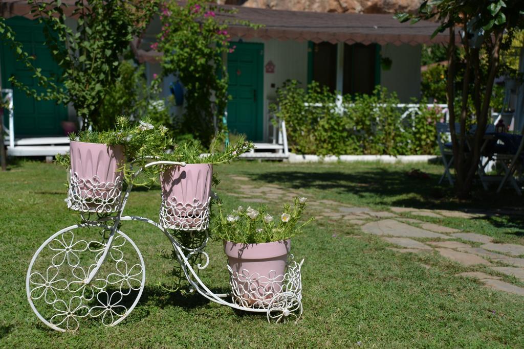 Narçiçeği Hotel Çıralı — 3