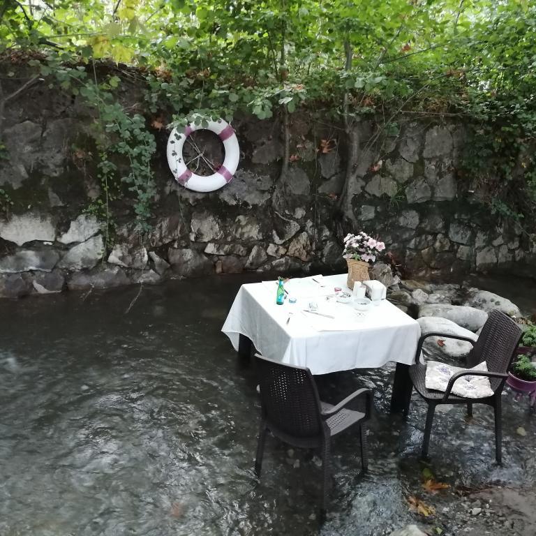 Beyaz Ev Butik Otel Maşukiye — 5
