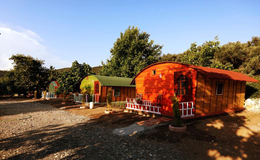 Kazdağı Kamp Zeytinli — 2