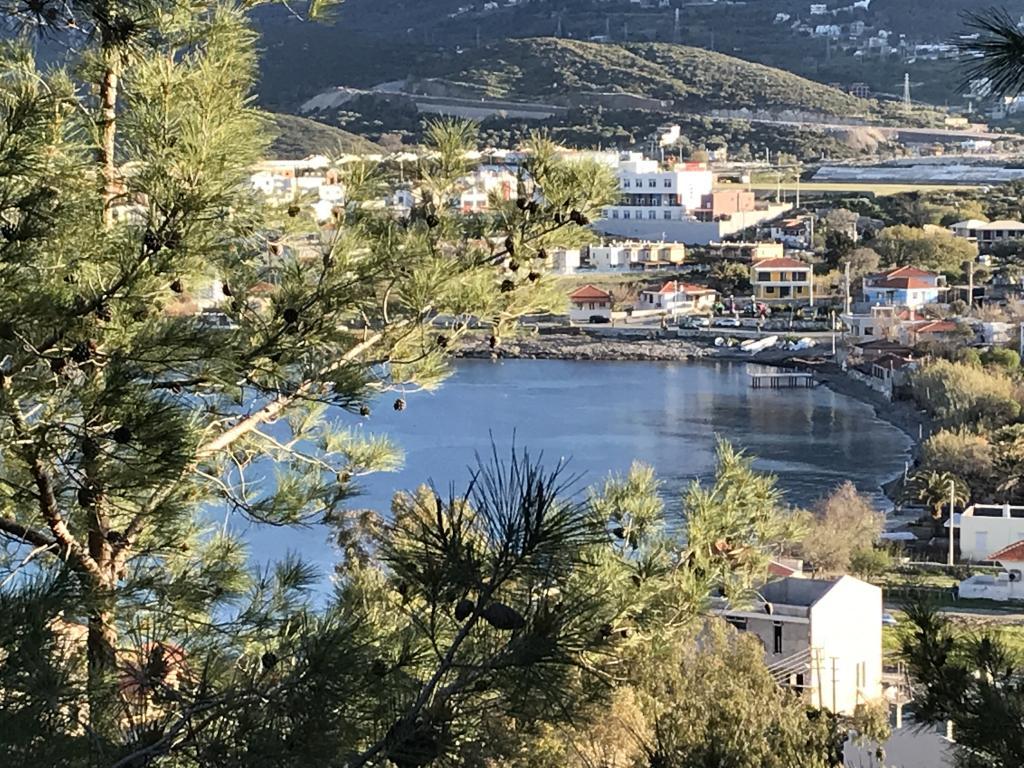 Palmiye Karaburun — 1