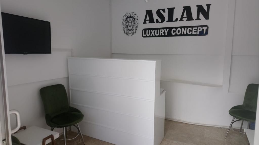 Aslan Luxury Concept — 4
