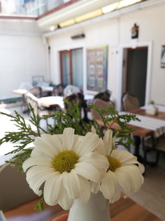 Daffne Otel — 8