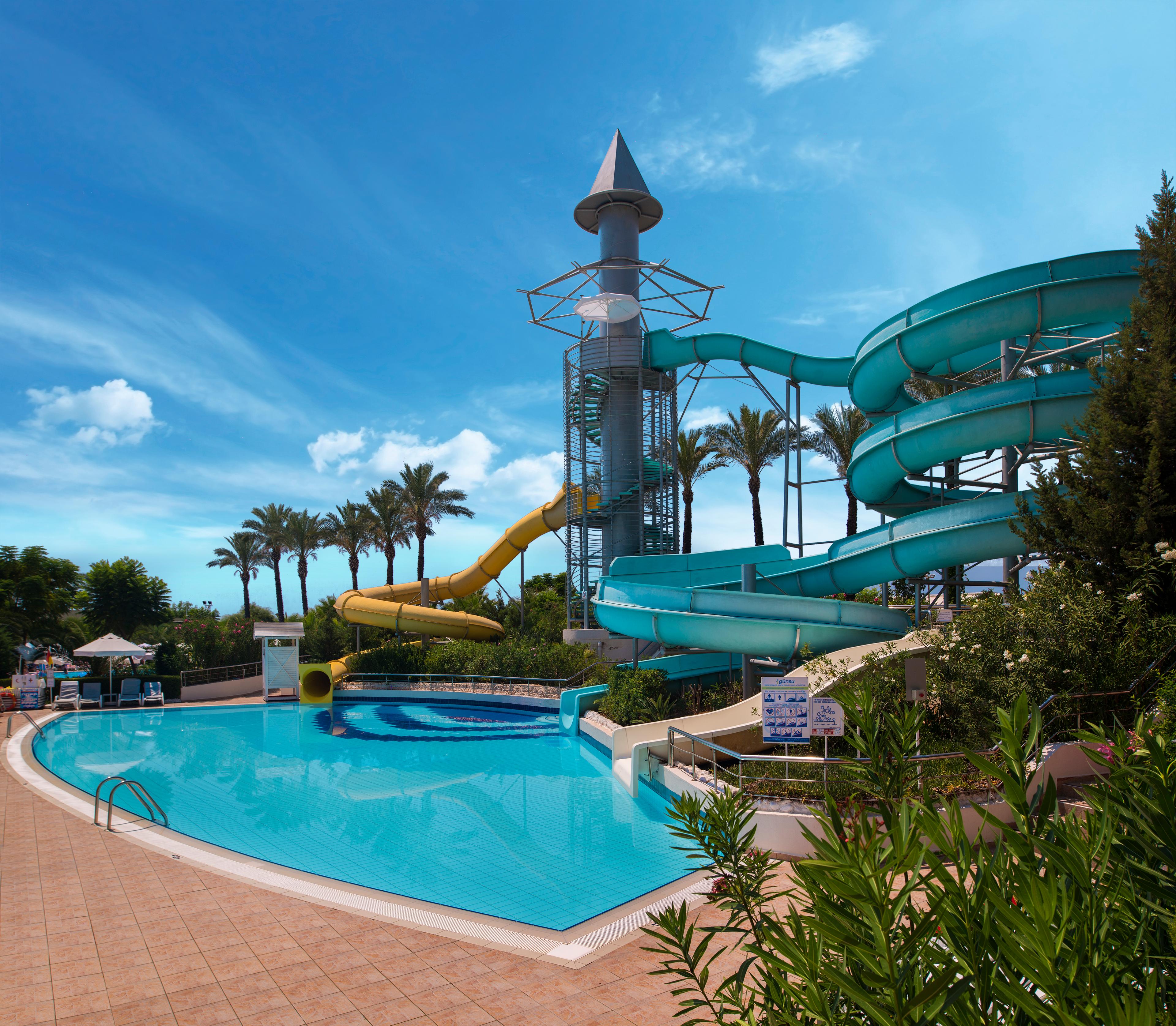 Delphin Diva — 5