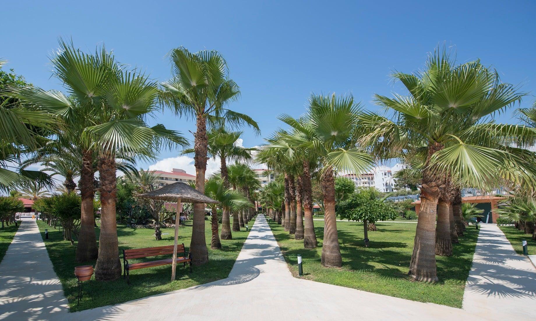 Miramare Beach Hotel — 4