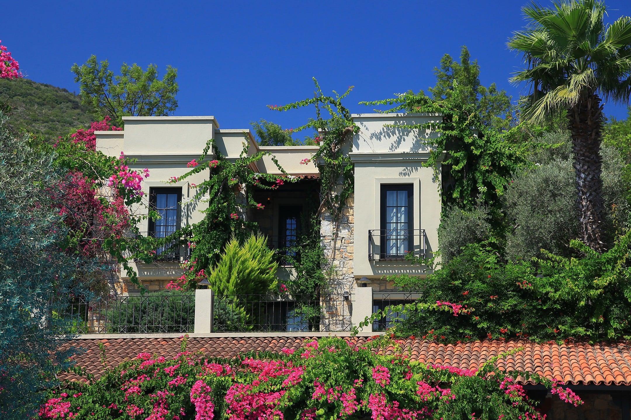 Zeytinada Hotel — 10