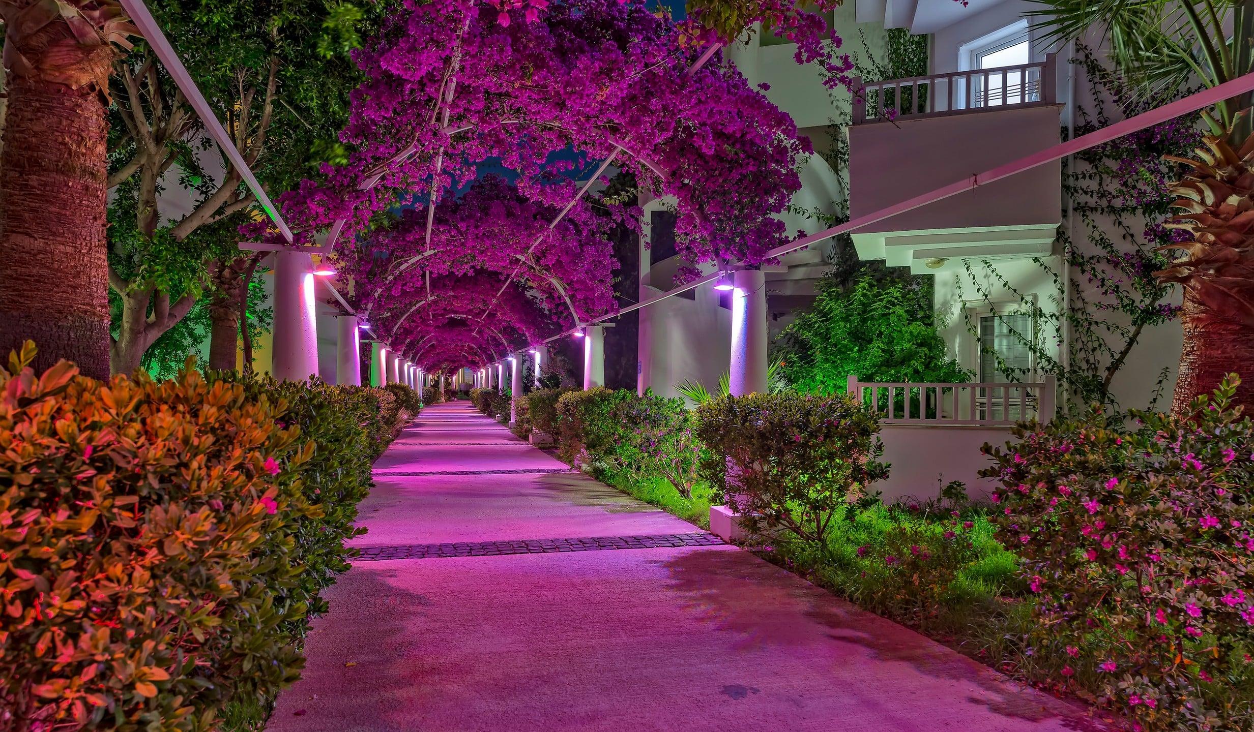 Bendis Beach Hotel — 6