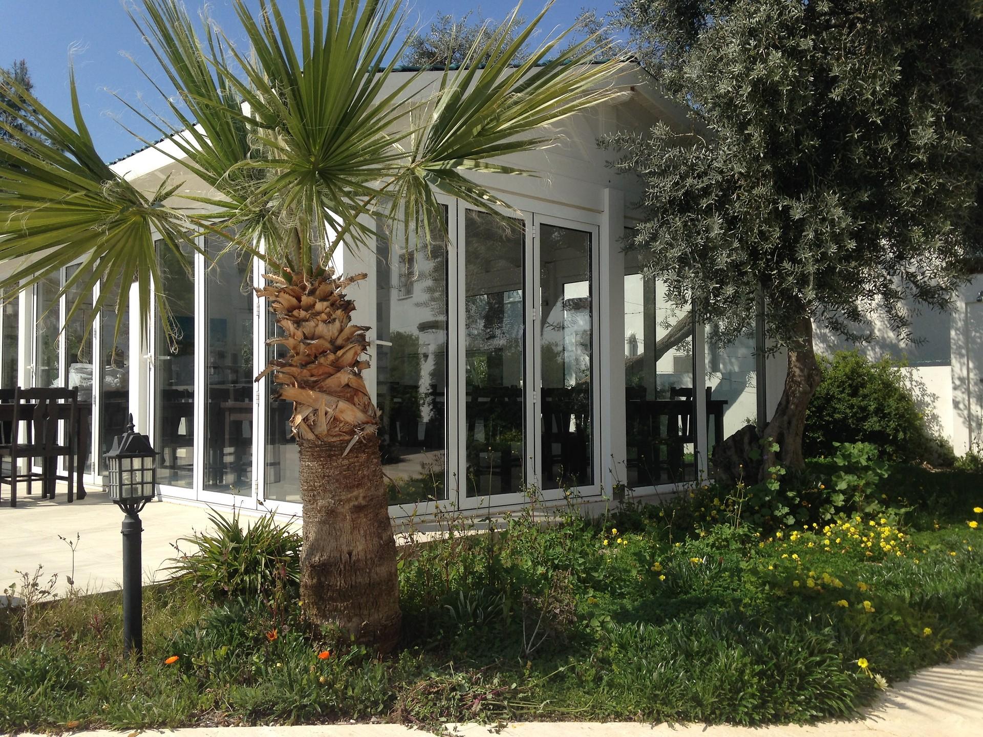 Costa Sarıyaz — 2