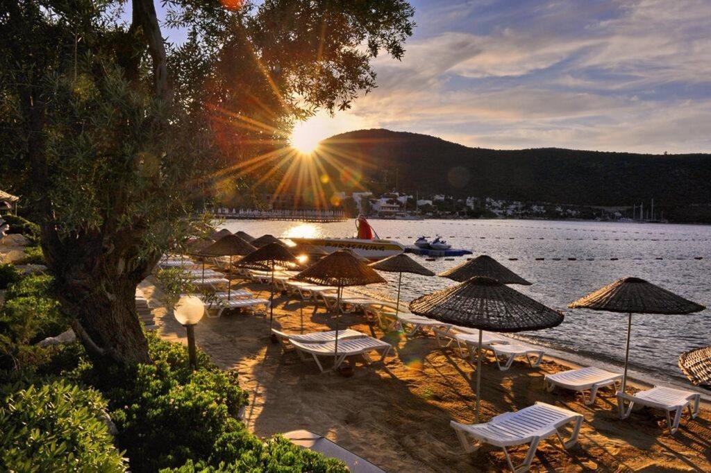 Izer Hotel & Beach Club — 3