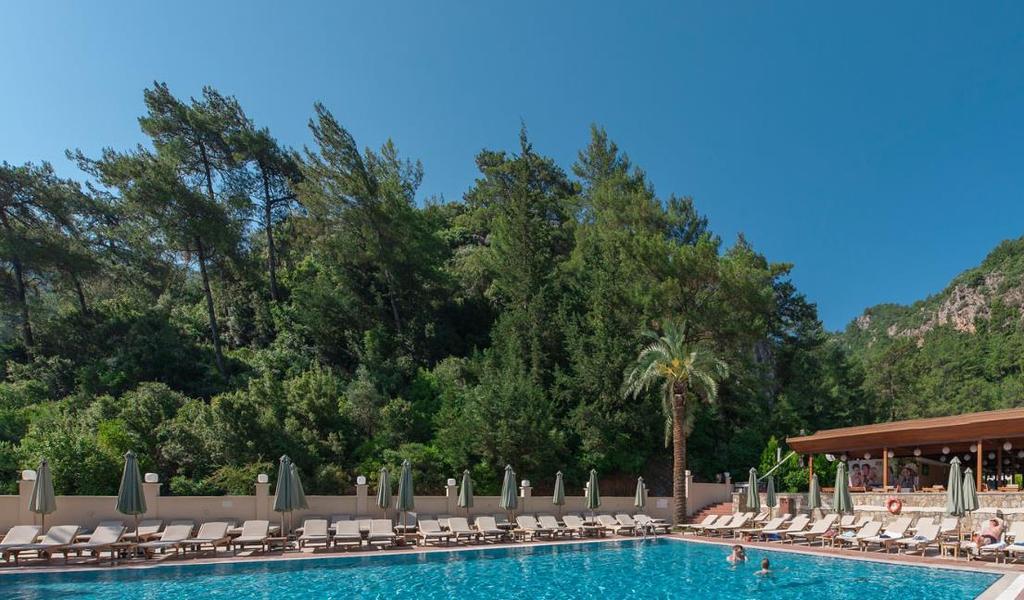 Julian Forest Suites — 8