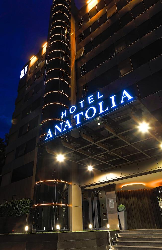 Anatolia Bursa — 2