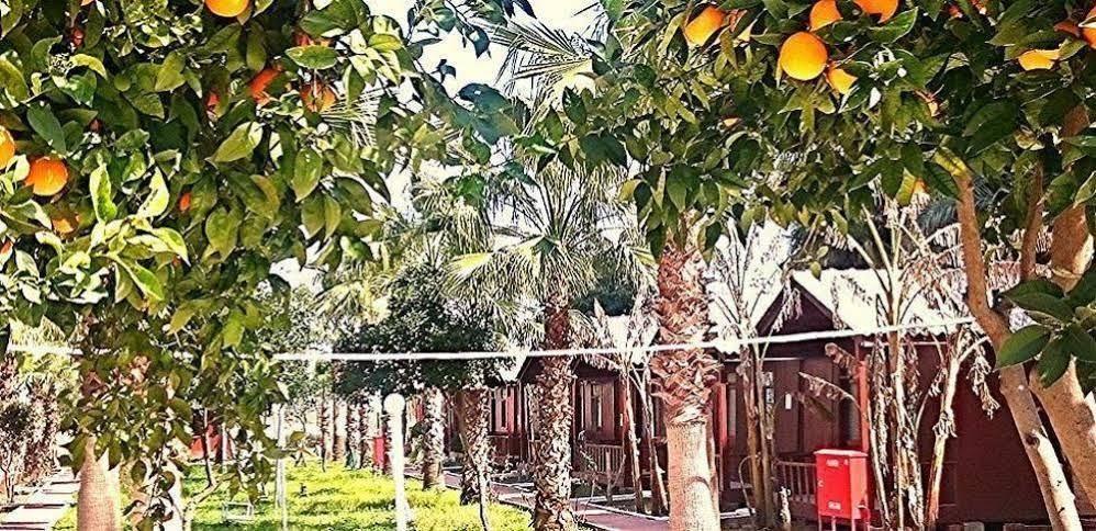 AslanPark Bungalow Hotel