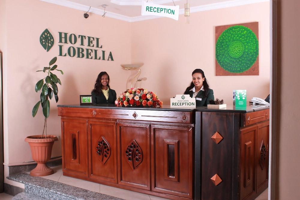 Lobelia Hotel — 6