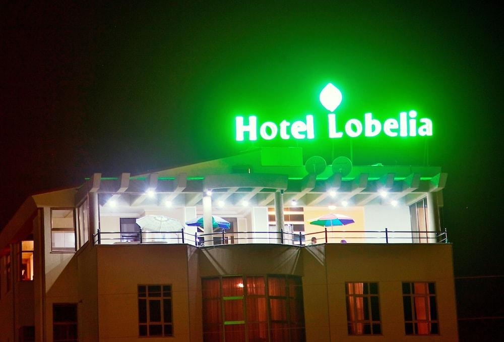 Lobelia Hotel — 4