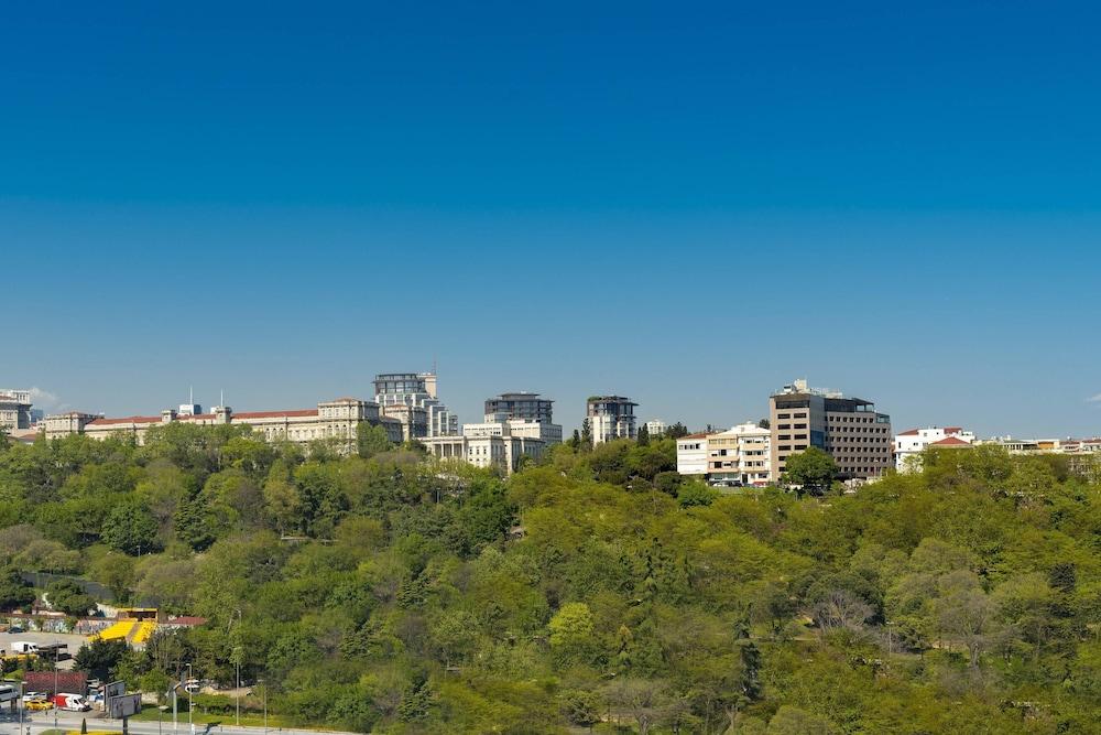 The Ritz Carlton Istanbul 30134 — 1