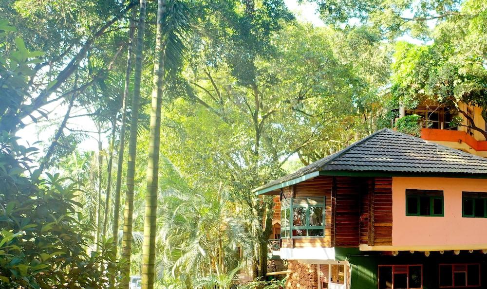 Forest Cottages — 8