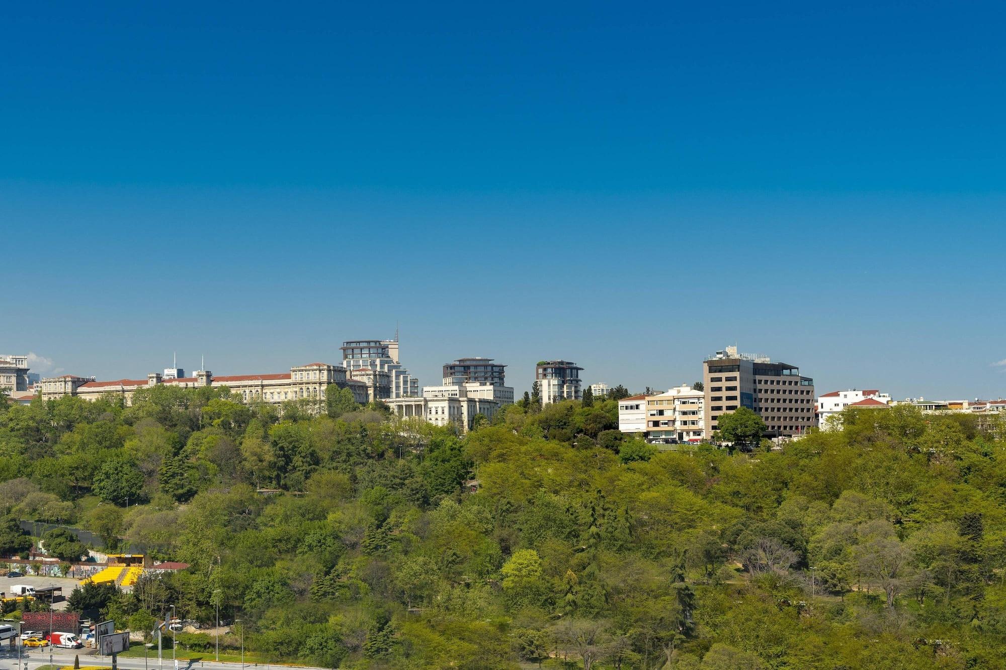 The Ritz Carlton Istanbul 30134 — 6