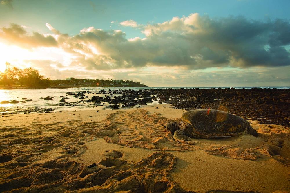 Marriott's Waiohai Beach Club — 3