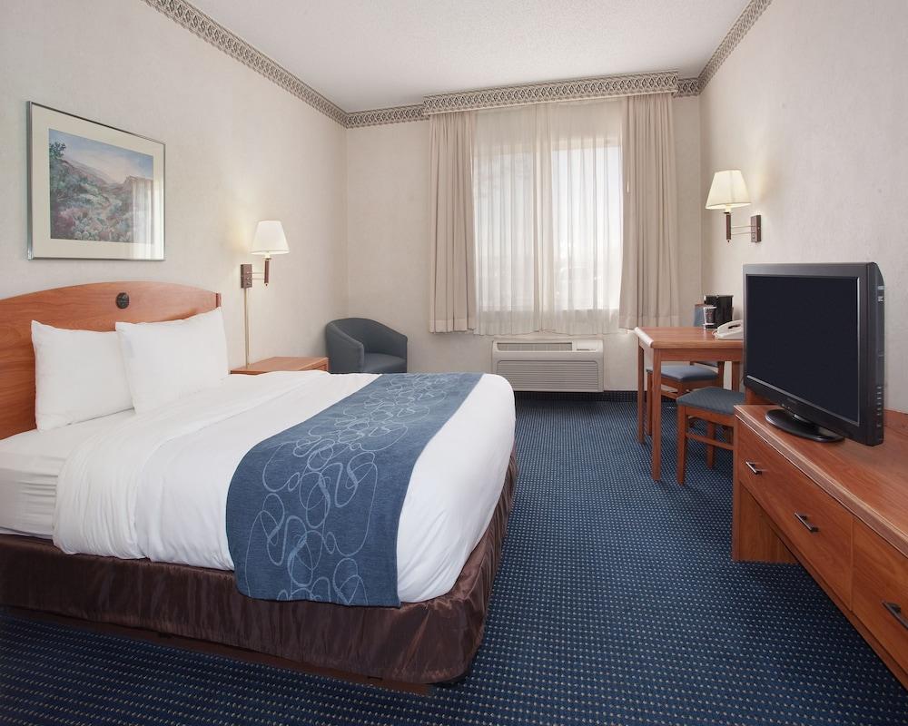 Quality Suites University — 7