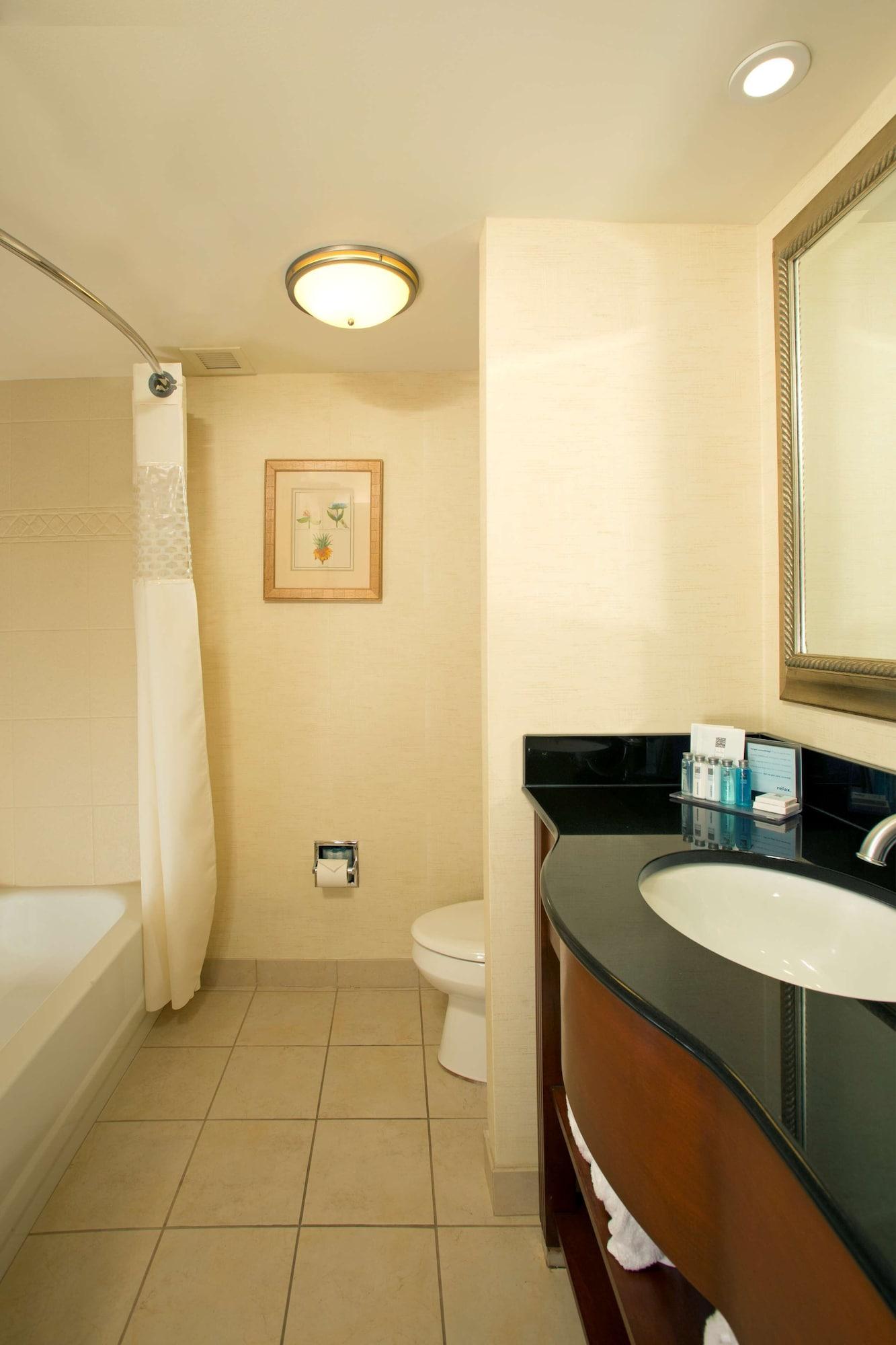 Hampton Inn Alexandria/Pentagon South — 4