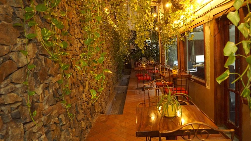 Hotel Casa del Arbol 1174048