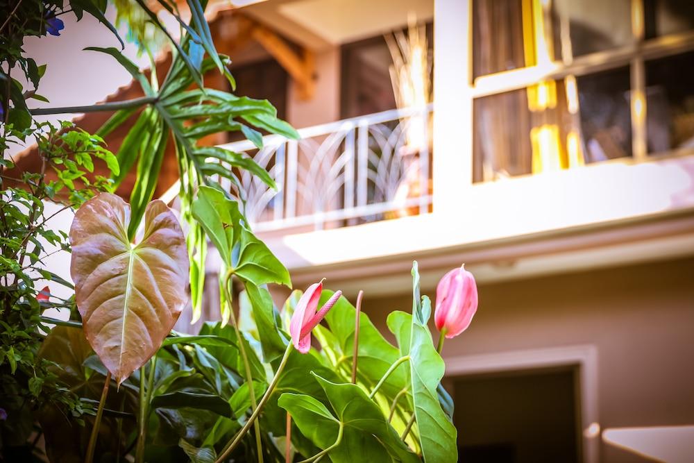 Zawadi House — 8