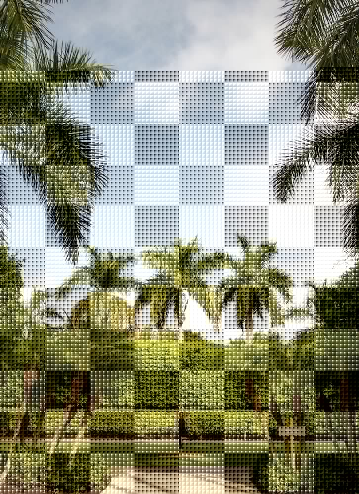 Hyatt Regency Yogyakarta — 4