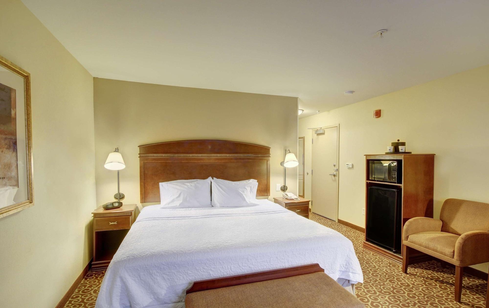 Hampton Inn & Suites Alexandria MN — 6