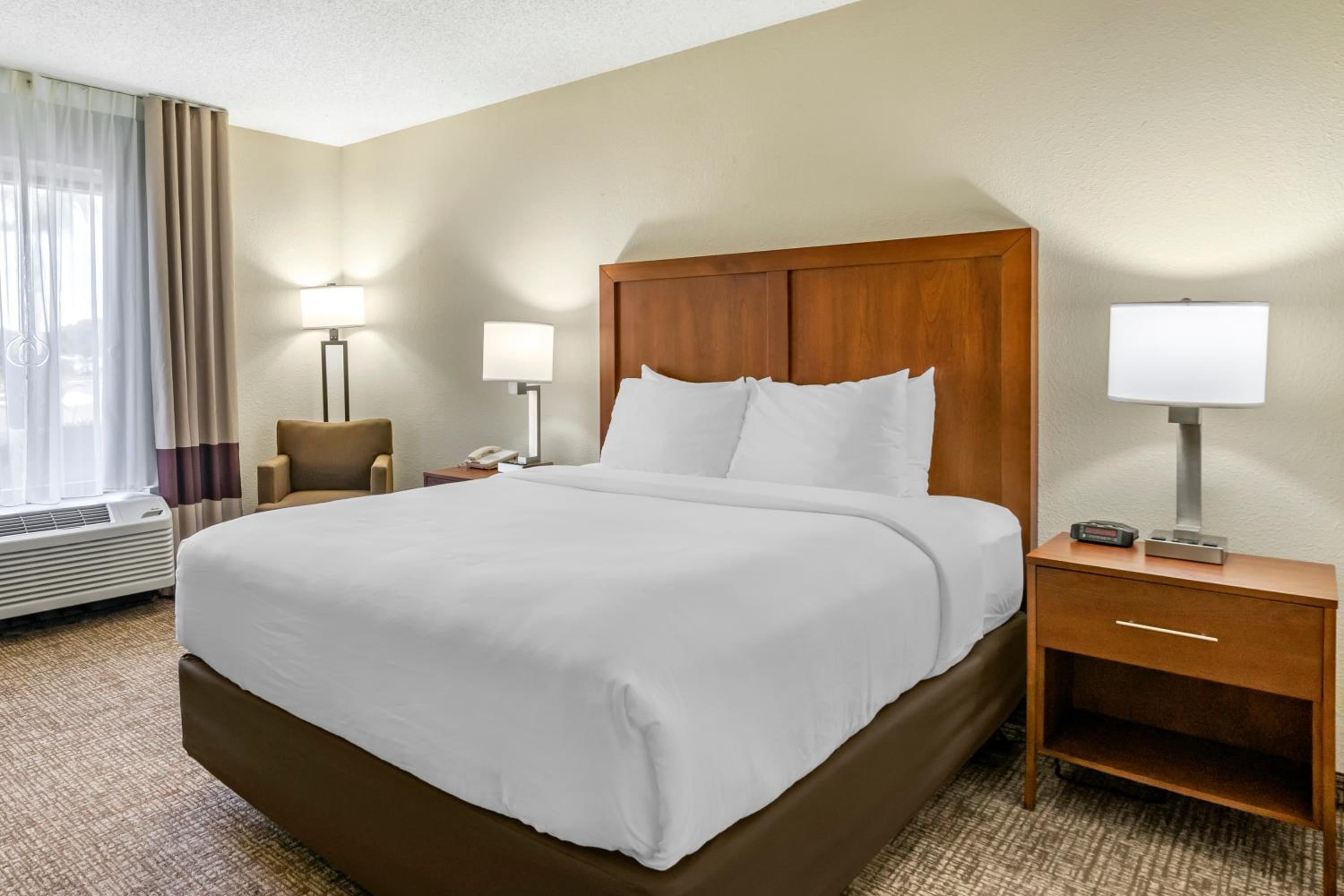 Comfort Inn & Suites St. Pete - Clearwater International Airport — 8