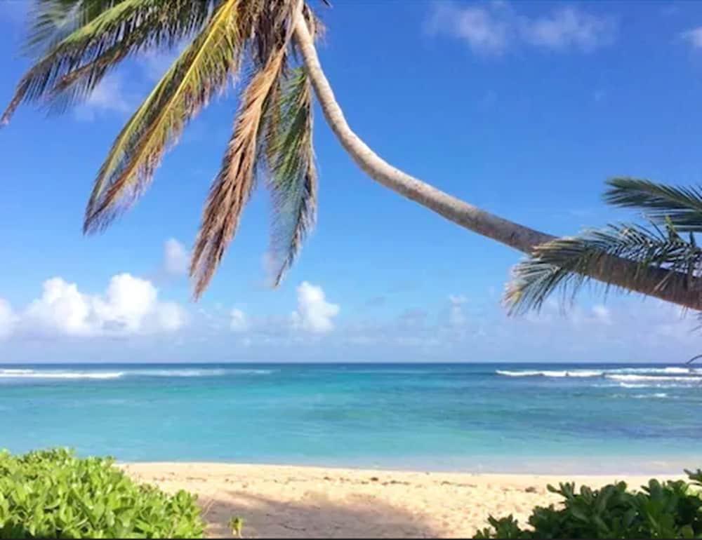 THE PALMS AT PELICAN COVE — 7